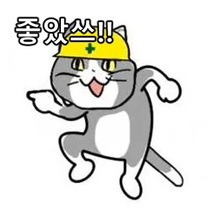 태어나자마자 죽는 생명체