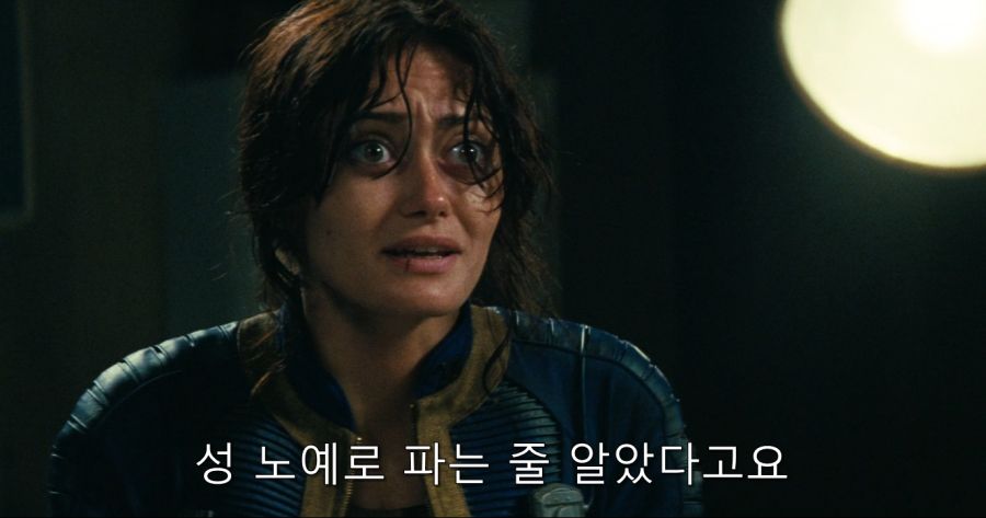 성노예라니 그런 역겨운 짓은 안해요.jpg