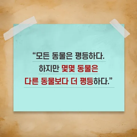 반려 동물 수영장 공사 중단... 환경청 조사 칙수