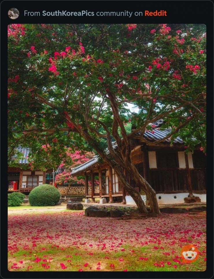 레딧에 올라온 한국의 풍경