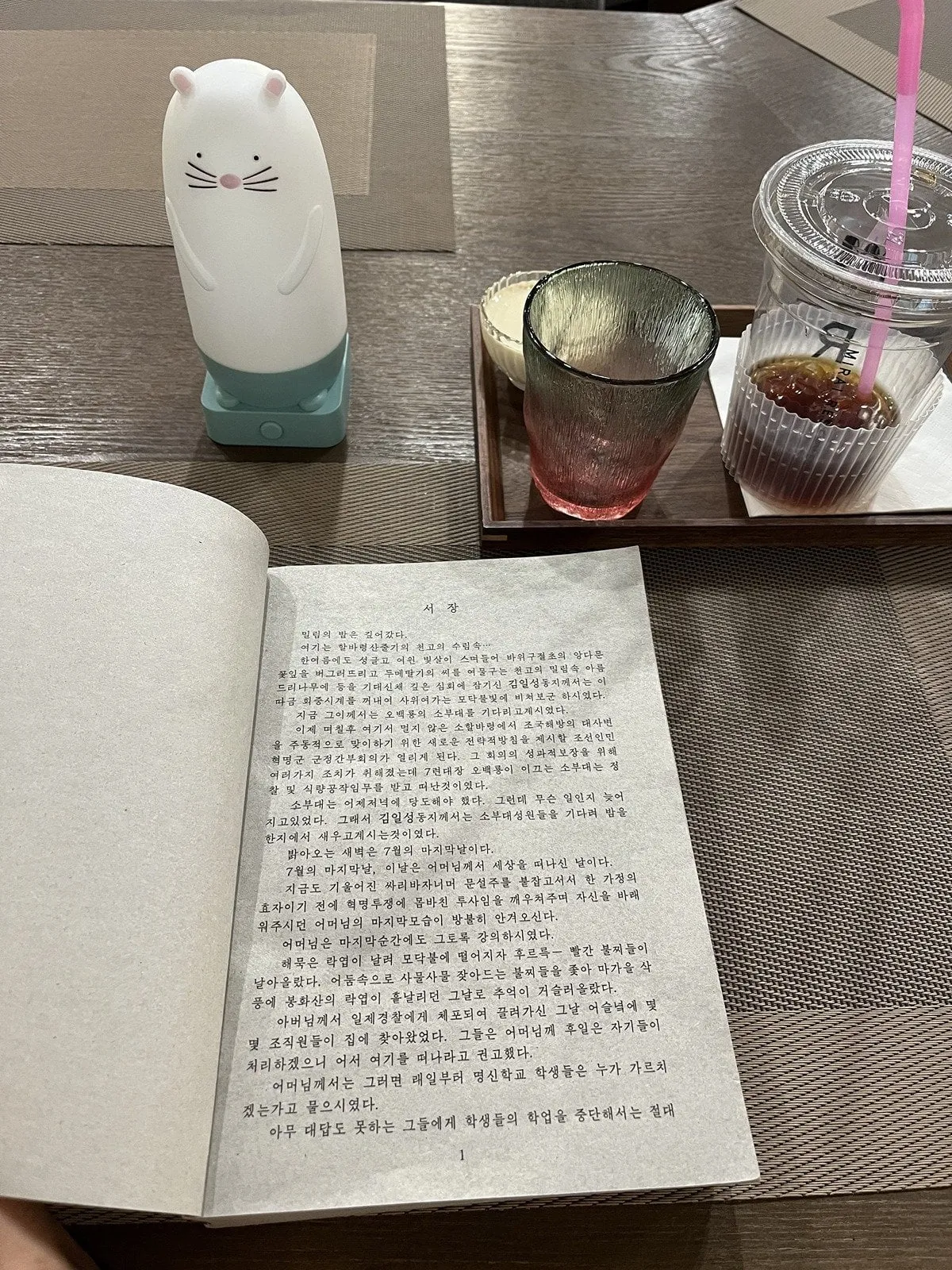 싱글벙글 북쪽에 있는 평양 정권 근황