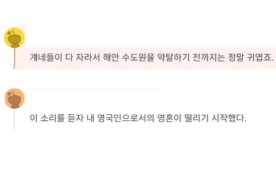 소나타 타고 나타난 바이킹의 후예