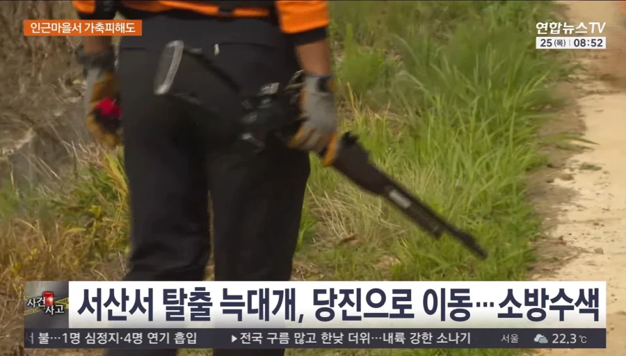 서산 우리 탈출 늑대개 열흘 만에 모두 집으로..수색 마무리