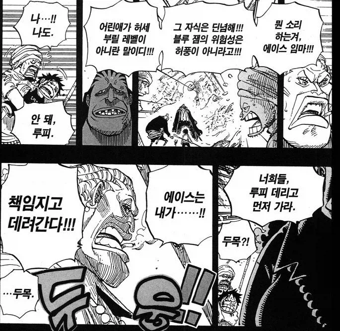 원피스) 루피 입장에서는 진짜 엄마랑 판박이인 동료