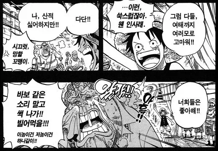 원피스) 루피 입장에서는 진짜 엄마랑 판박이인 동료