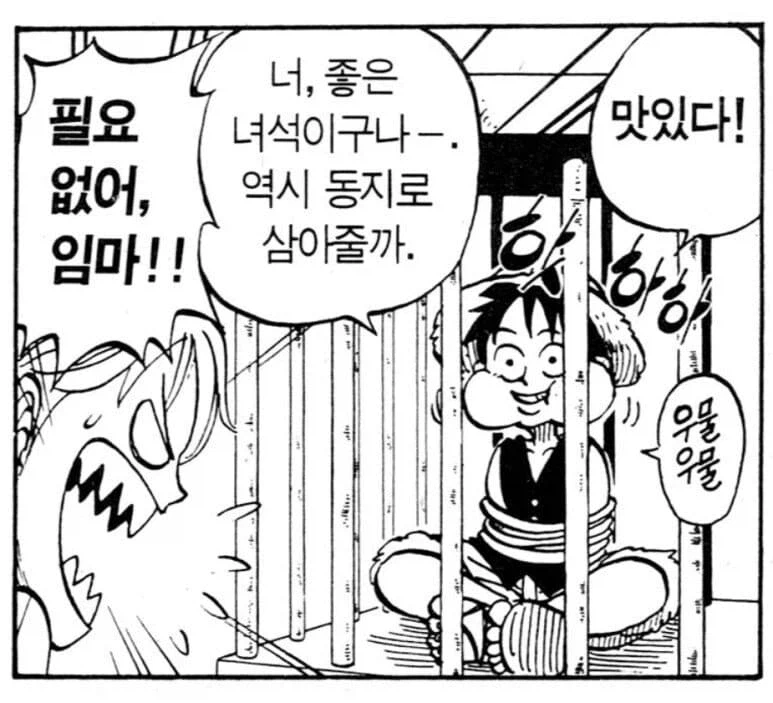 원피스) 루피 입장에서는 진짜 엄마랑 판박이인 동료