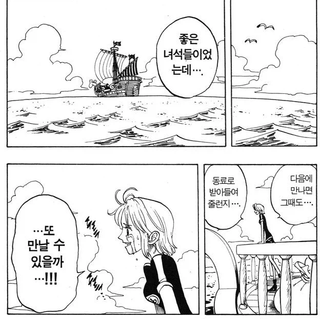 원피스) 루피 입장에서는 진짜 엄마랑 판박이인 동료