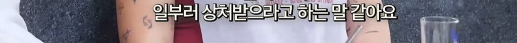 한국인들의 통제 성향 지적하는 명예영국인