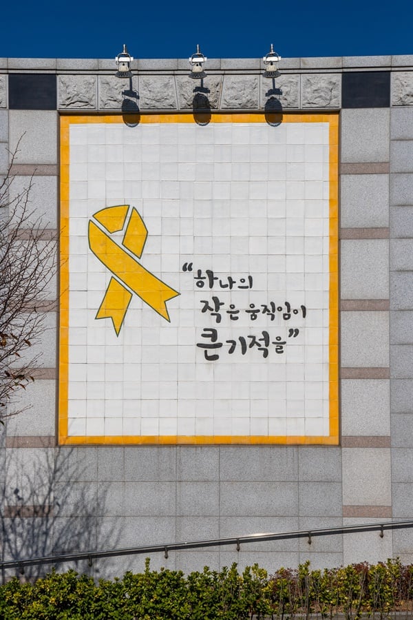 세월호 희생자 유가족 사망자 최소 19명.jpg