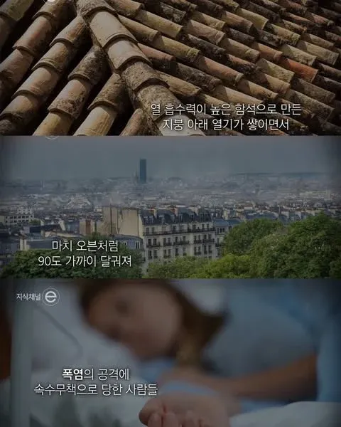 폭염에 최악이 되어버린 프랑스 파리 지붕