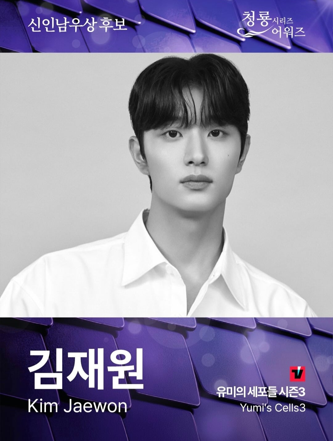 OTT 시상식-제5회 청룡시리즈 어워즈 최종 후보 안내[정보글]