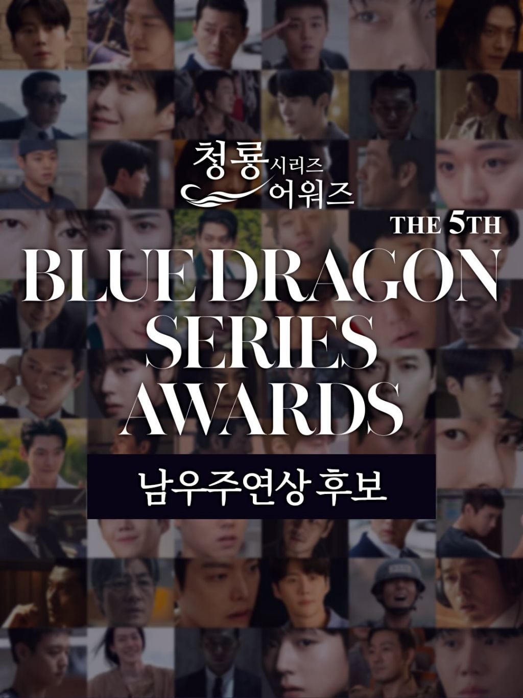 제5회 청룡시리즈어워즈 드라마 부문 여우주연상/여우조연상 후보