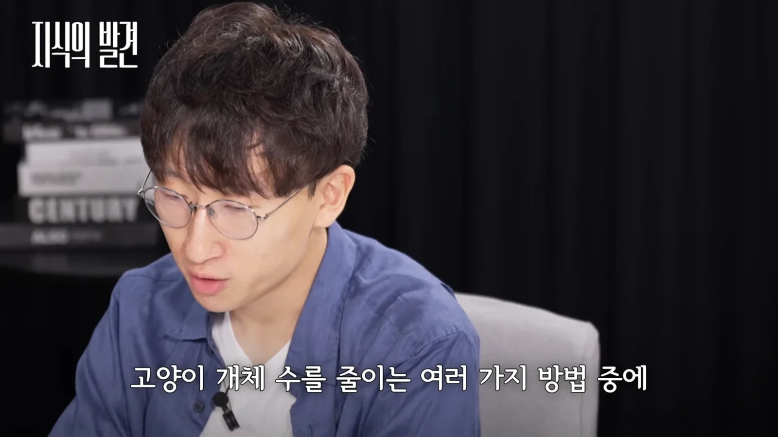 '길고양이는 살처분이 답' 시청자 게시판 난리난 SBS
