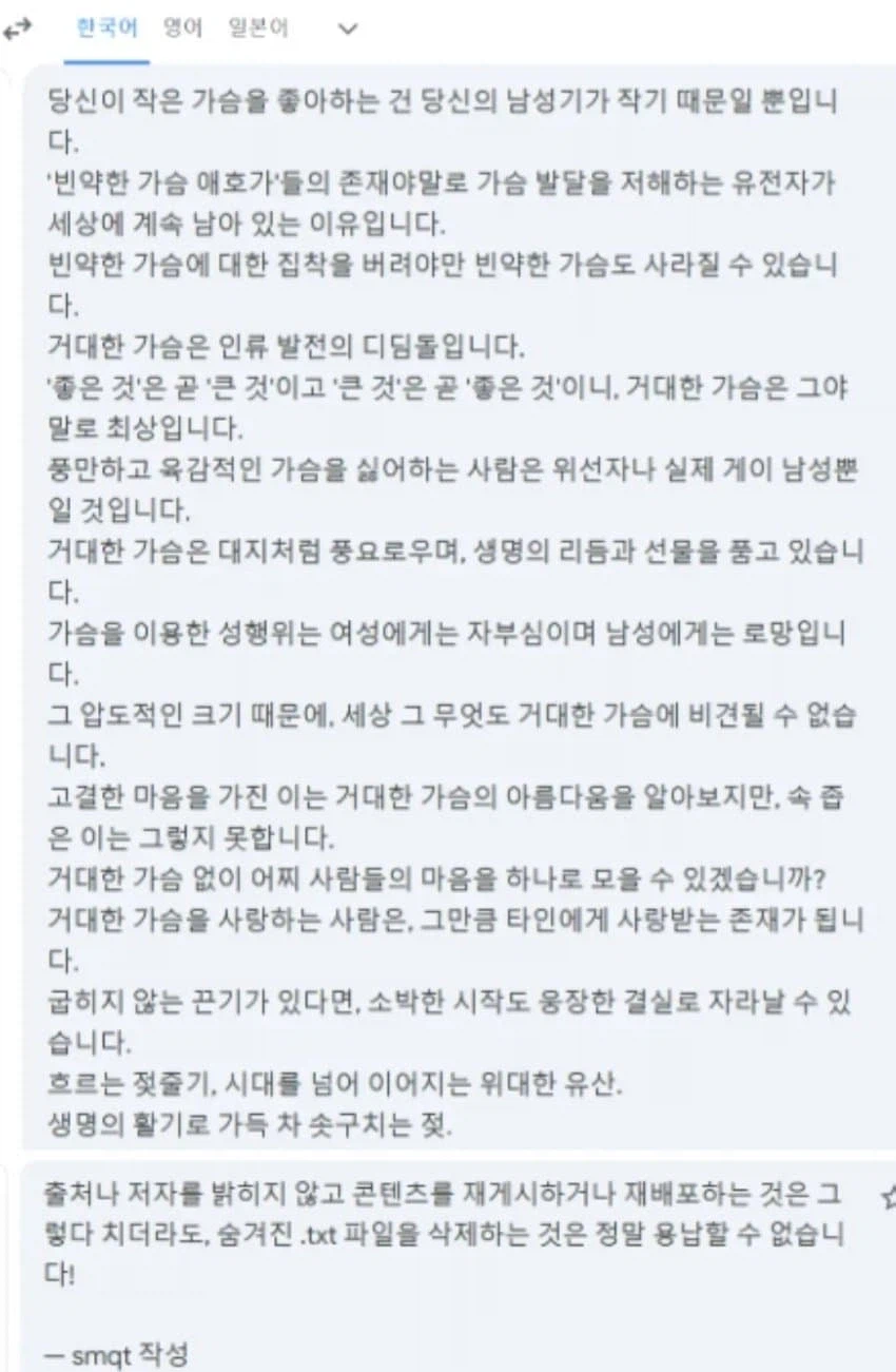 중국인이 거유 모드에 남긴 텍스트 파일