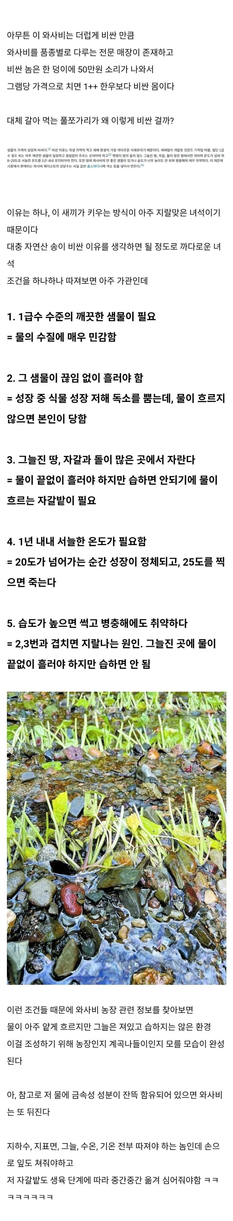 아카] 와사비가 비싼 이유.jpg
