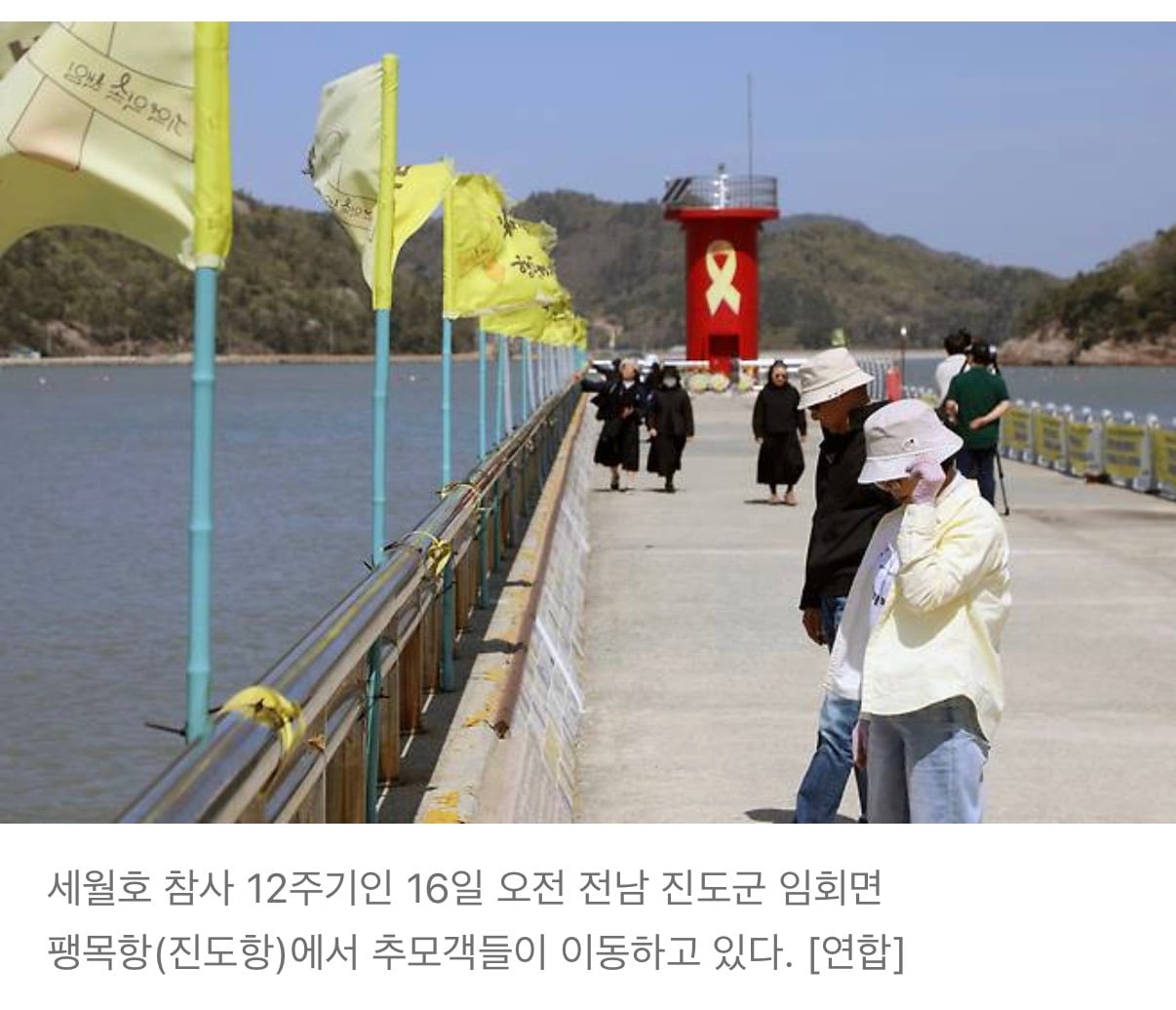세월호 생존 학생 부고 소식