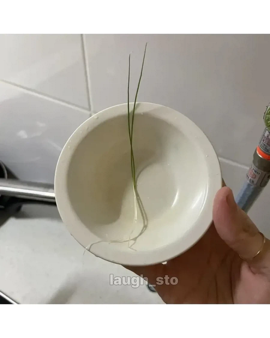 직접 기른 대파로 만든 떡볶이.jpg