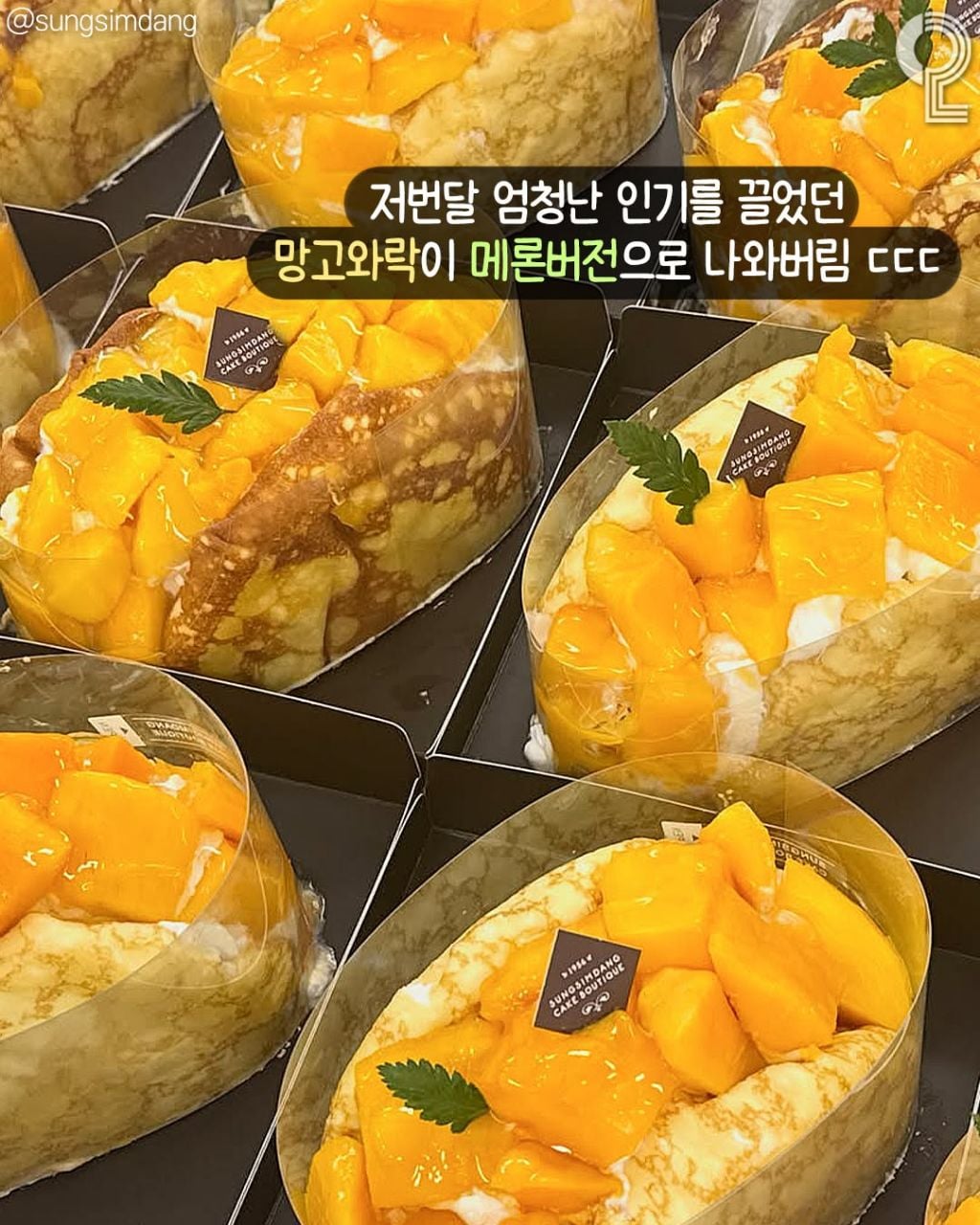 성심당 🍑복숭아 케이크 7/14 출시