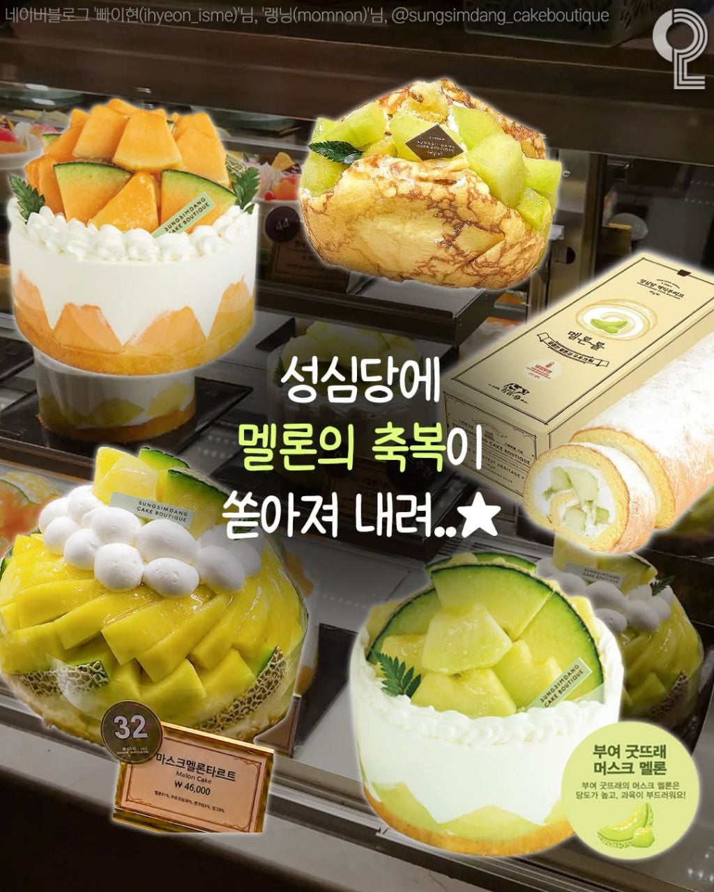 성심당 🍑복숭아 케이크 7/14 출시