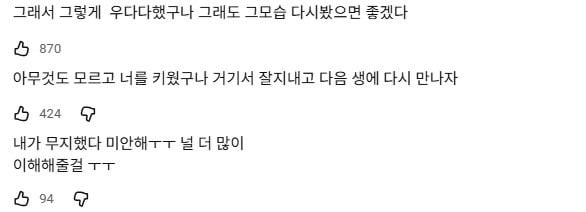 강아지가 목욕 후 미친 듯이 뛰는 이유