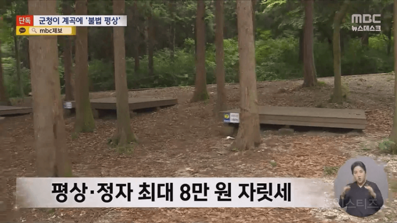 남쪽 유명 계곡 자릿세 카르텔. 배후가 군청