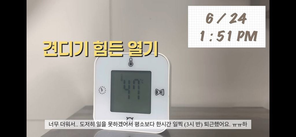 프랑스 폭염으로 진짜 죽을뻔한 한국인