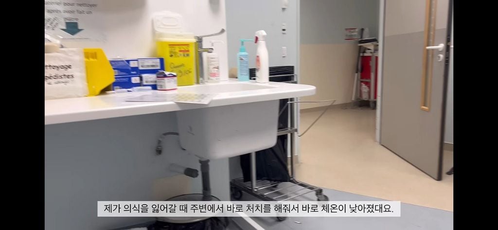 프랑스 폭염으로 진짜 죽을뻔한 한국인
