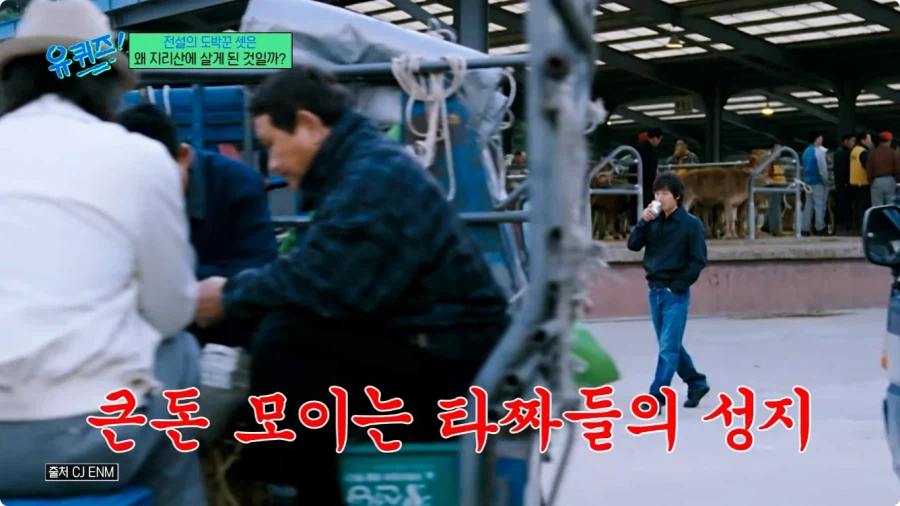 허영만 작가의 타짜 비하인드 스토리