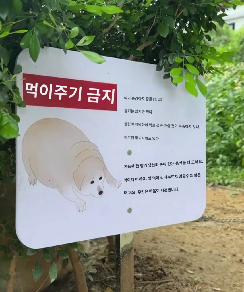 쿼카에게 먹이를 주지 마세요. 아무리 쿼카가 달라고 해도요