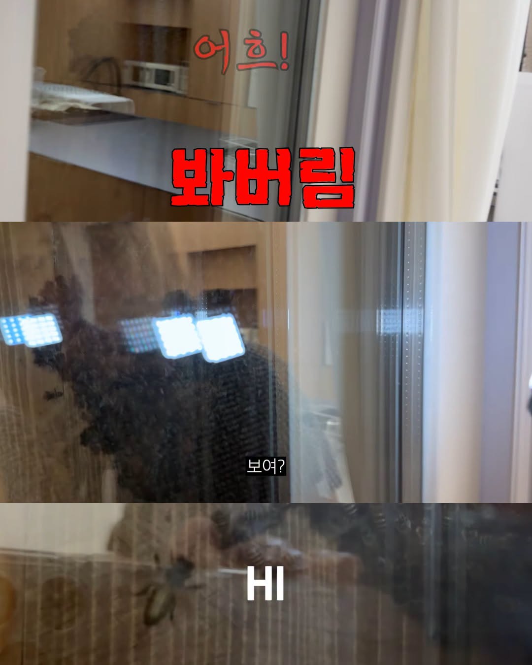 (약혐) 2주만에 제주도 집 갔다 119 부른 김숙.jpg