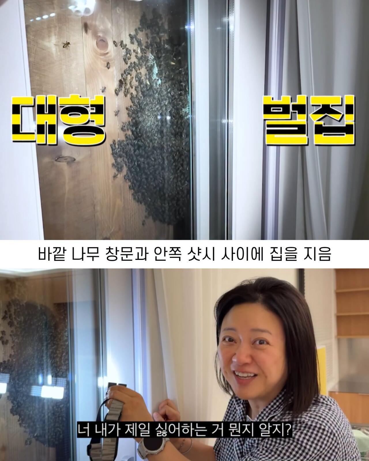 (약혐) 2주만에 제주도 집 갔다 119 부른 김숙.jpg