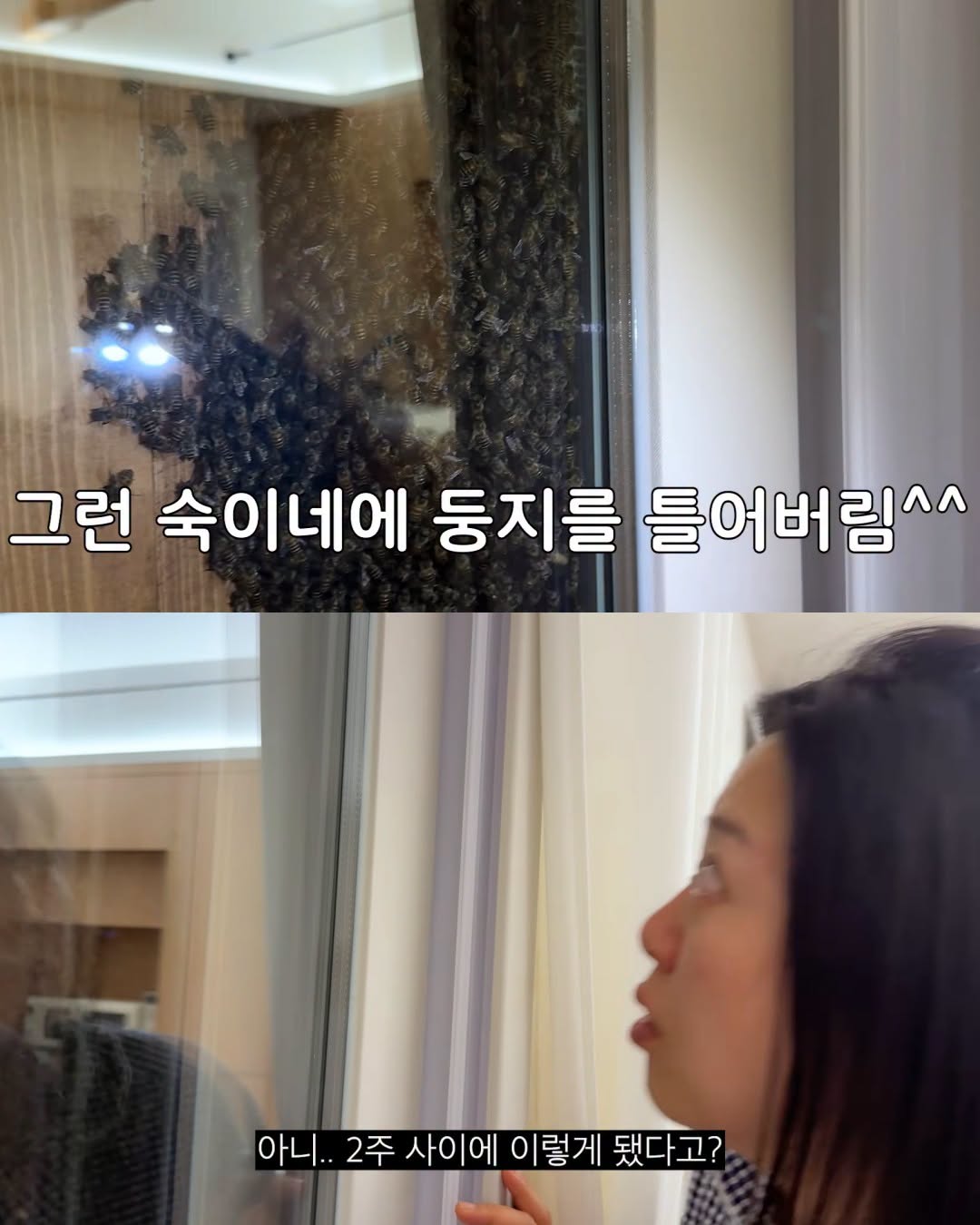 (약혐) 2주만에 제주도 집 갔다 119 부른 김숙.jpg
