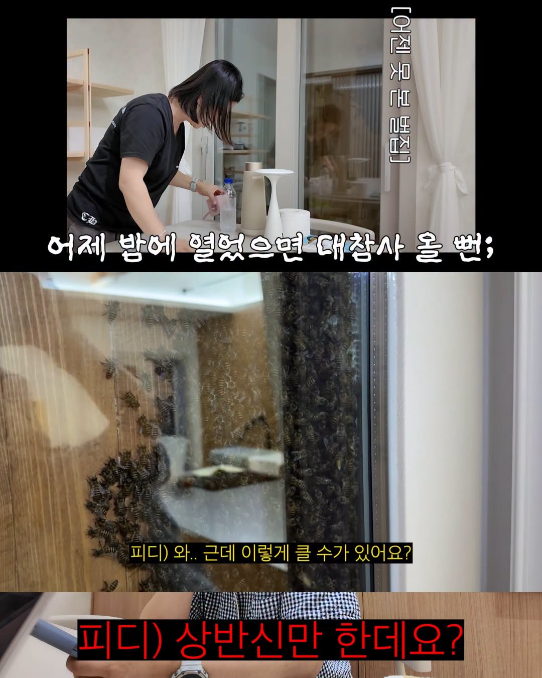 (약혐) 2주만에 제주도 집 갔다 119 부른 김숙.jpg
