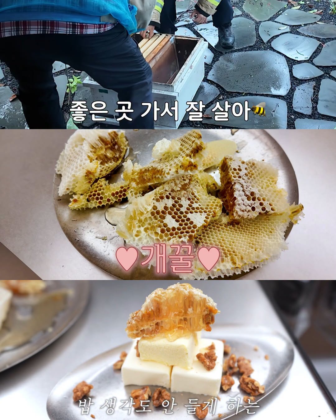 (약혐) 2주만에 제주도 집 갔다 119 부른 김숙.jpg