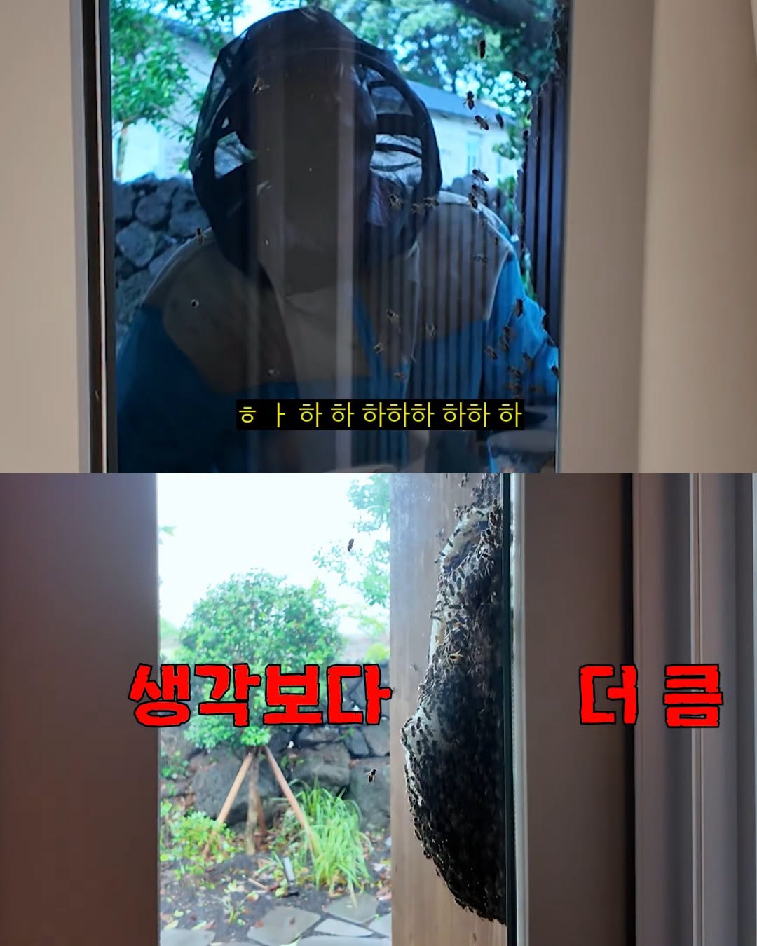 (약혐) 2주만에 제주도 집 갔다 119 부른 김숙.jpg