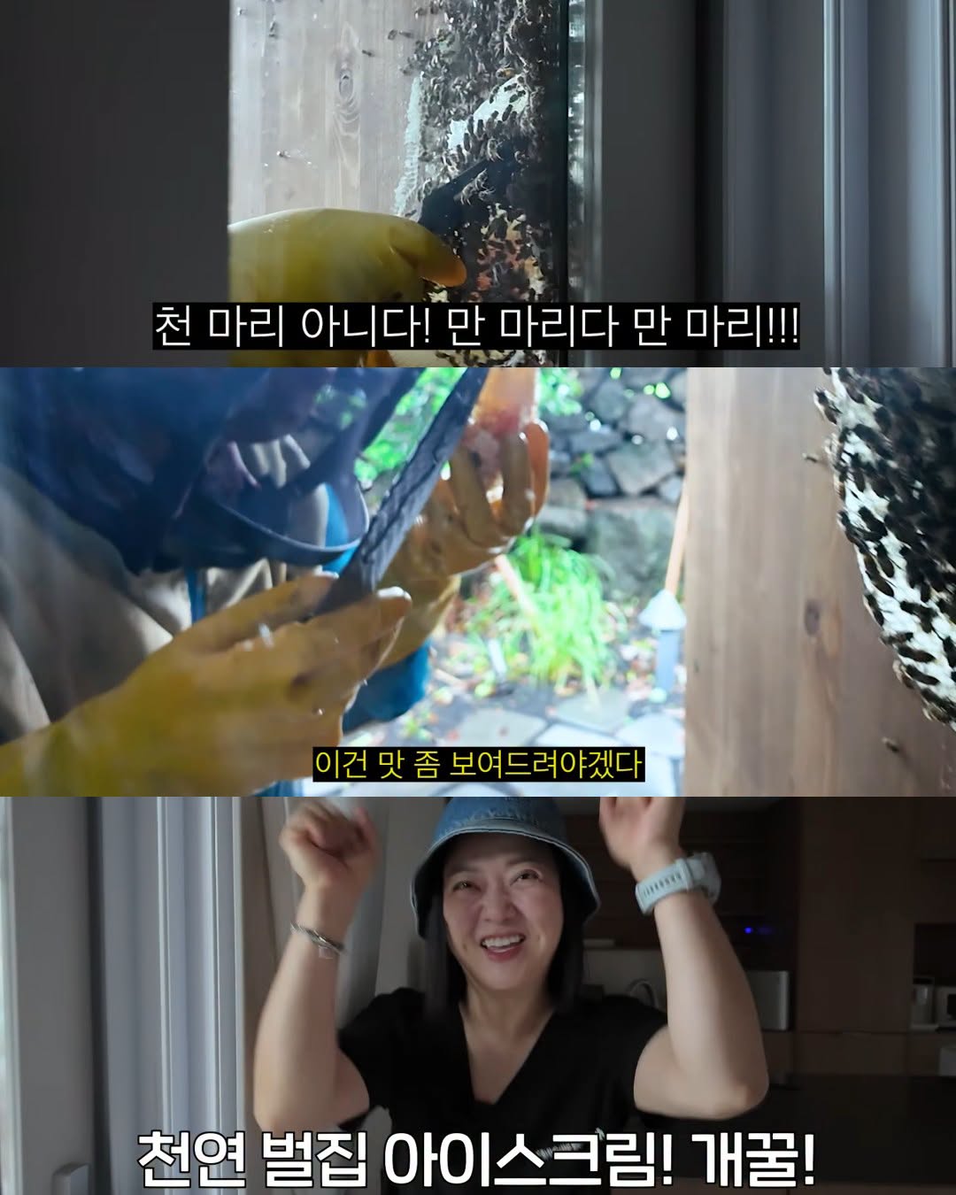 (약혐) 2주만에 제주도 집 갔다 119 부른 김숙.jpg