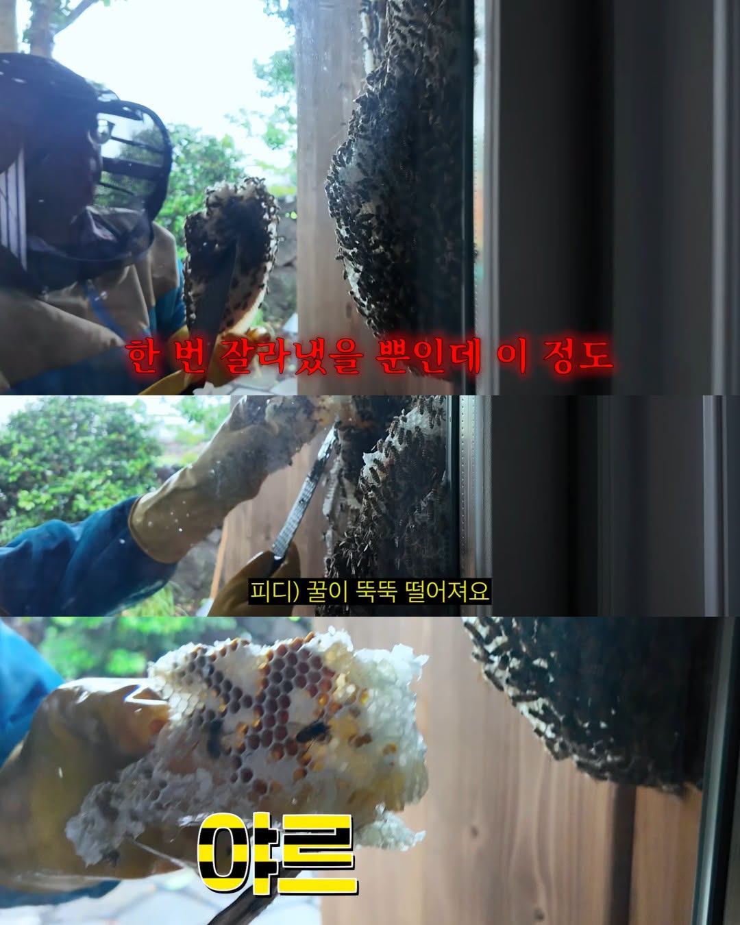 (약혐) 2주만에 제주도 집 갔다 119 부른 김숙.jpg