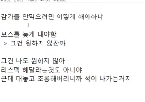 ㅇㅂ) 진격캐넌 템 감가 소신발언