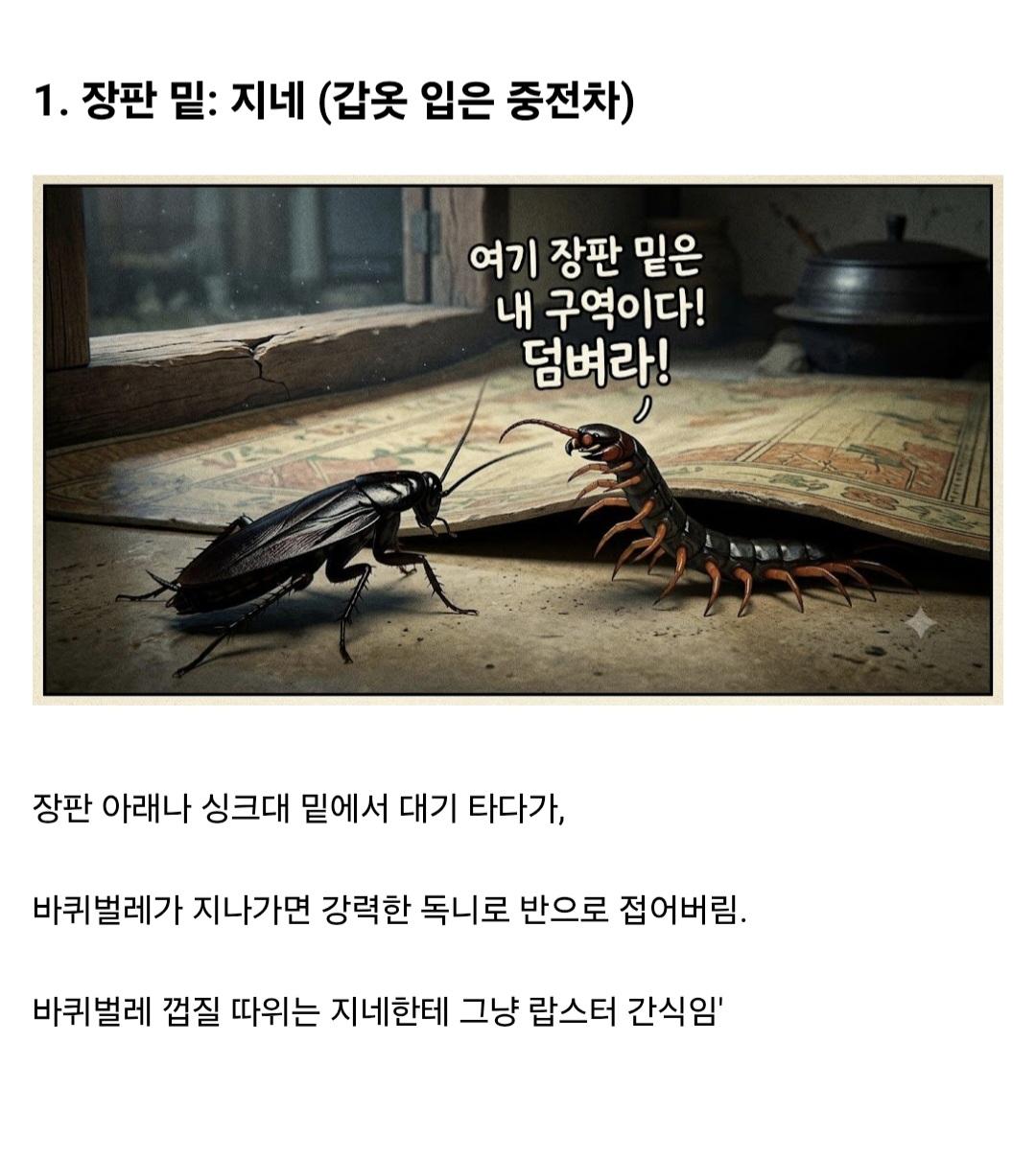 (약혐)시골집에 오히려 바퀴벌레가 없는 이유
