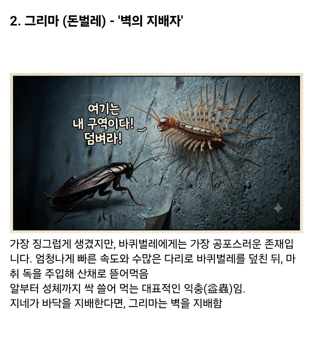 (약혐)시골집에 오히려 바퀴벌레가 없는 이유