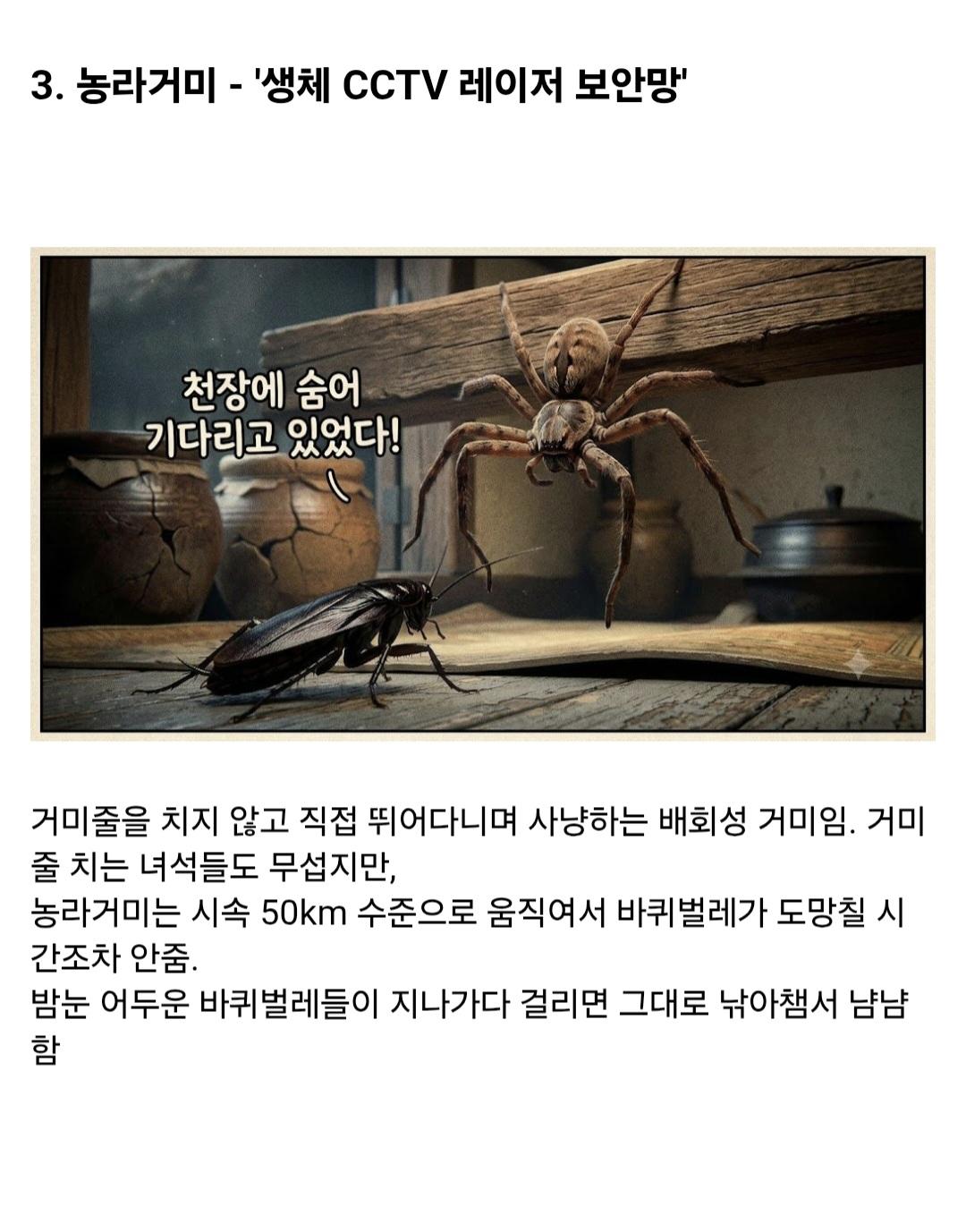 (약혐)시골집에 오히려 바퀴벌레가 없는 이유