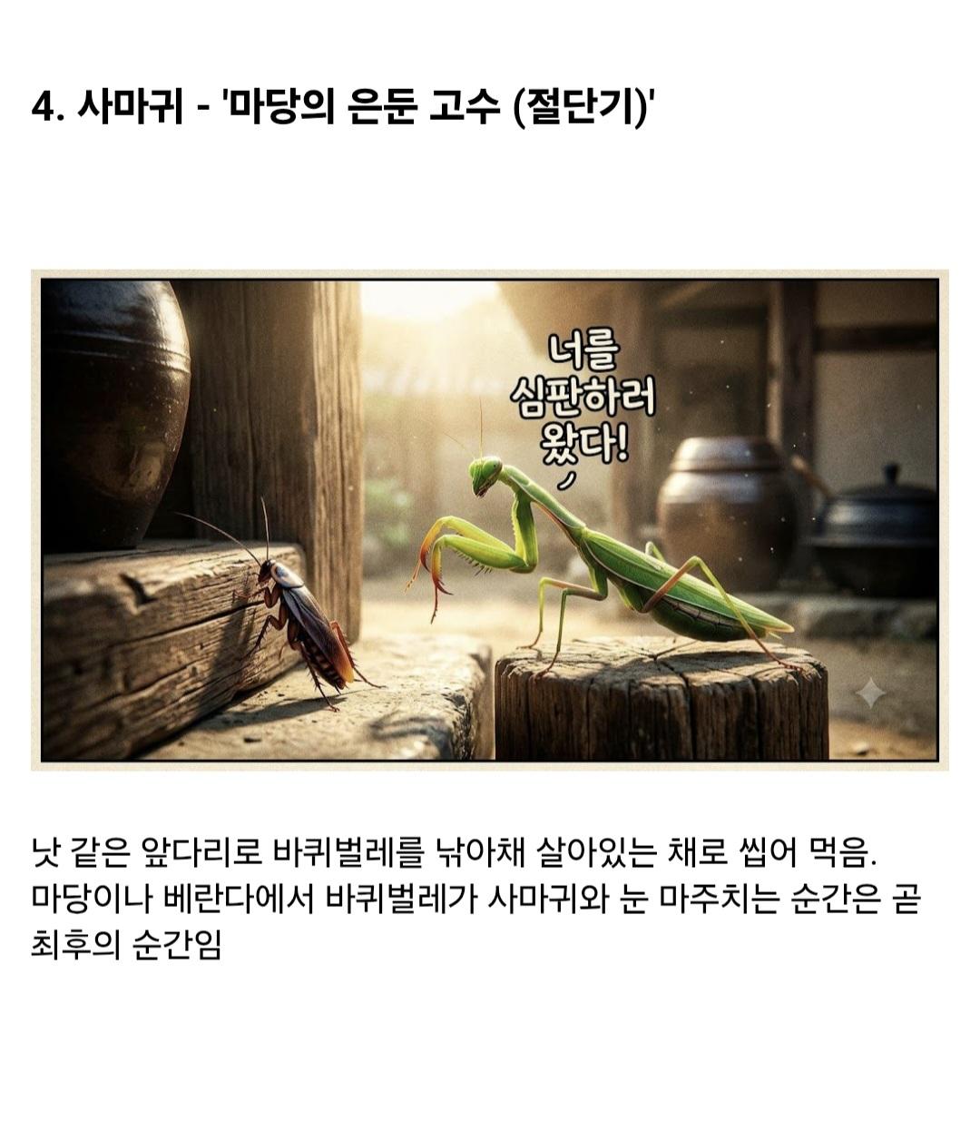 (약혐)시골집에 오히려 바퀴벌레가 없는 이유
