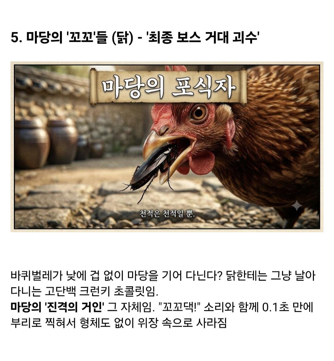 (약혐)시골집에 오히려 바퀴벌레가 없는 이유