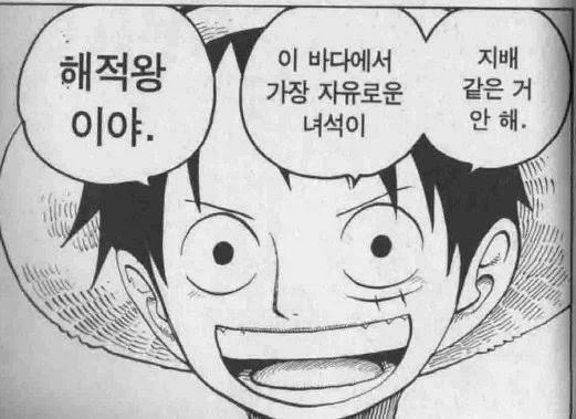 원피스) 이번에 나온 모든 이야기 종합 공백의 100년