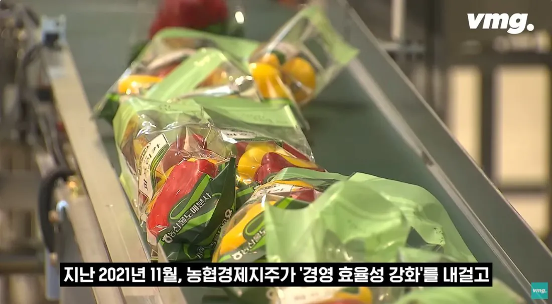 적자매장 비율 57% 심각한 하나로마트 상황