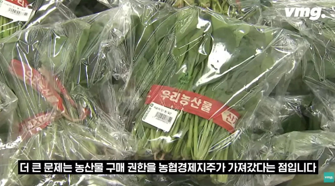 적자매장 비율 57% 심각한 하나로마트 상황