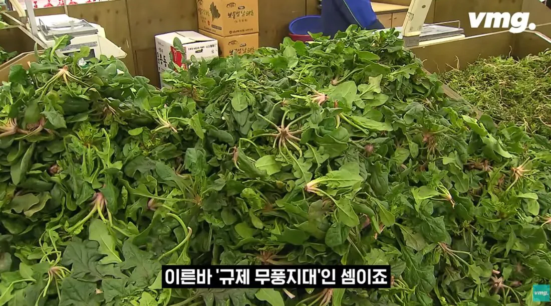 적자매장 비율 57% 심각한 하나로마트 상황