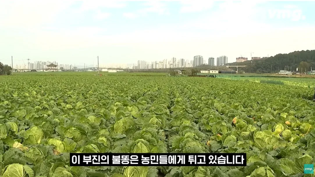 적자매장 비율 57% 심각한 하나로마트 상황