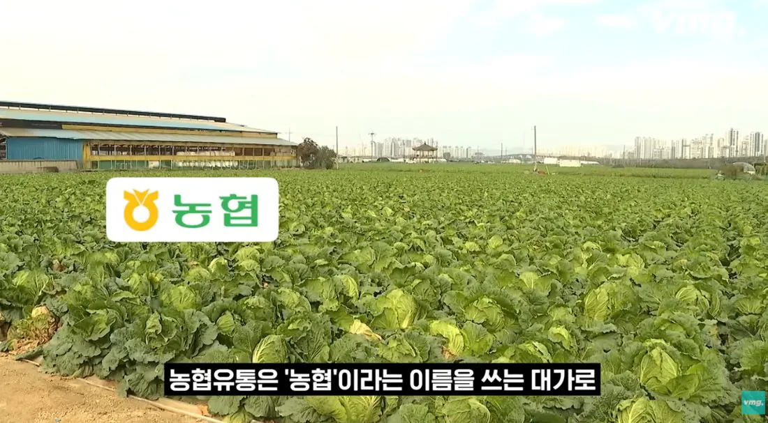 적자매장 비율 57% 심각한 하나로마트 상황