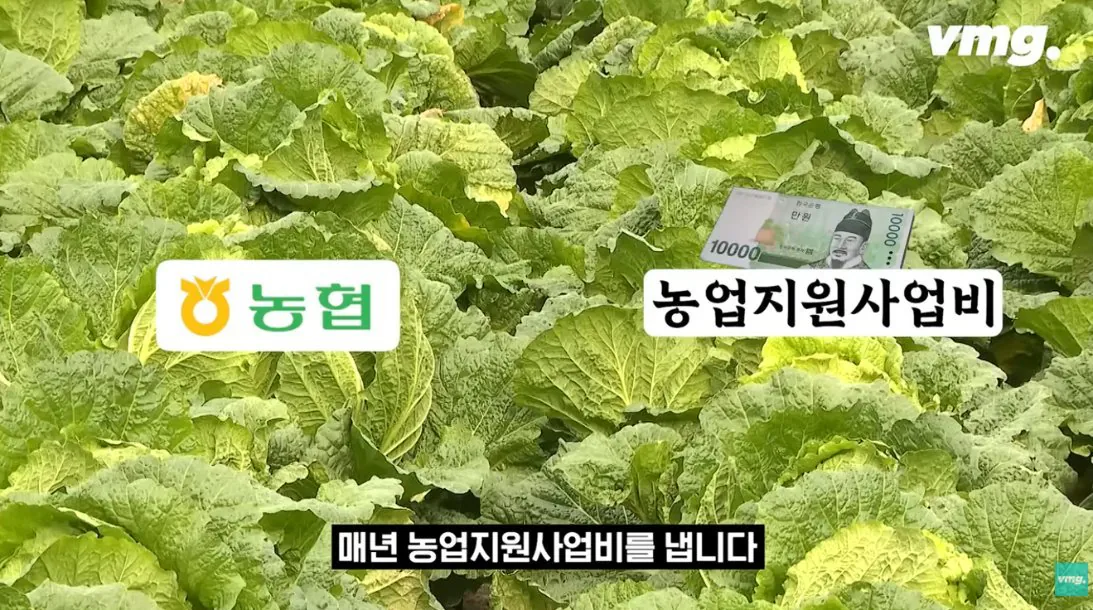적자매장 비율 57% 심각한 하나로마트 상황